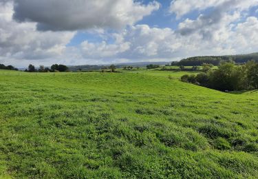 Tocht Stappen Hotton - Ny - Photo