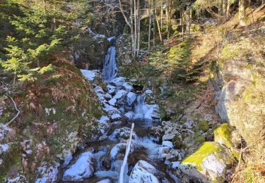 Tocht Stappen Lepuix - Saut de la Truite - cascade du Rummel - Etang du Petit-Haut - Ballon d'alsace - Photo