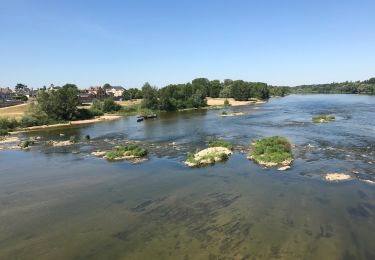 Randonnée V.T.T. Saint-Jean-de-la-Ruelle - Orleans-Jargeau-Orleans-60km-3h40 - Photo