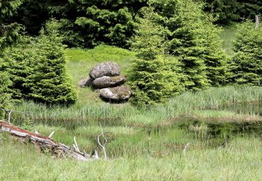 Trail On foot Wernigerode - Rund um den Erdbeerkopf (1) - Photo