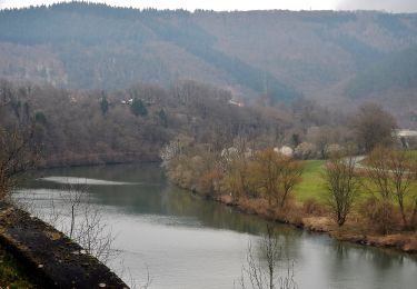 Randonnée A pied Schönbrunn - Rundwanderweg Neckaralm 2: Moosbrunn-Weg - Photo