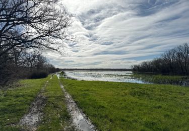 Randonnée Marche nordique Talais - Talais - Photo