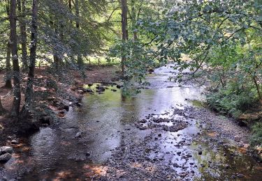 Randonnée Marche Stavelot - Marche ADEPS Stavelot - Photo