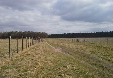 Tocht Paardrijden Zutendaal - 20181007_074817 - Photo