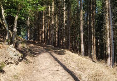 Tour Wandern Stoumont - GrWandArdRiv 17 Lorcé het klein grut van de Amblève (PVDB) - Photo