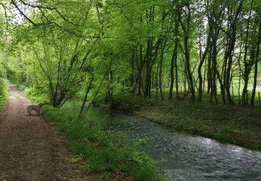 Trail Walking Saint-Pierre-Bénouville - st pierre benouville chemin des frenettes - Photo
