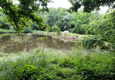 Excursión Senderismo Le Châtellier - GR_37_AE_19_Chatellier_Fougeres_20210618 - Photo