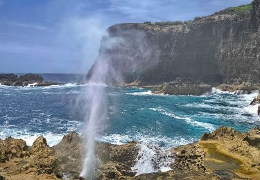 Trail Walking Anse-Bertrand - SityTrail - pointe du soufleur  - Photo