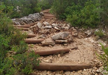 Trail Walking Montmeyan - Quinson, Gorges basses du Verdon/chapelle Ste Maxime - Photo