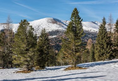 Tocht Te voet Albeck - Vier-Aussichtspunkte-Weg - Photo