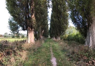 Randonnée Marche Kruisem - Kruishoutem 20 km  - Photo