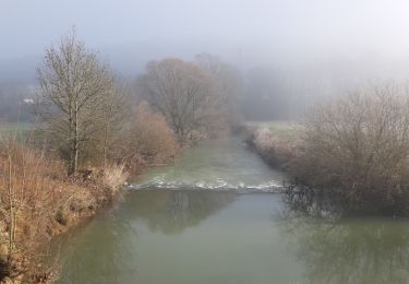 Excursión Senderismo Harréville-les-Chanteurs - de HARÉVILLE- LES-CHANTEURS à SAINT-THIÉBAULT en longeant la Meuse - Photo