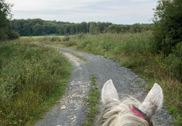 Randonnée Randonnée équestre Domèvre-sur-Vezouze - Equiplaine 22 septembre 24 - Photo