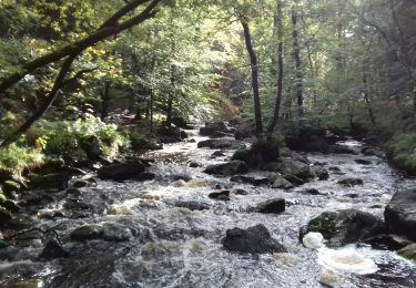 Trail Walking Jalhay - Vallée de la Hoëgne  - Photo