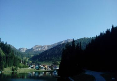 Excursión A pie Altenmarkt im Pongau - Wanderweg 83 - Photo