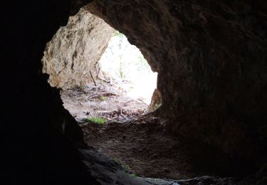 Tour Wandern Léoncel - Arche de Sarrazin  - Photo