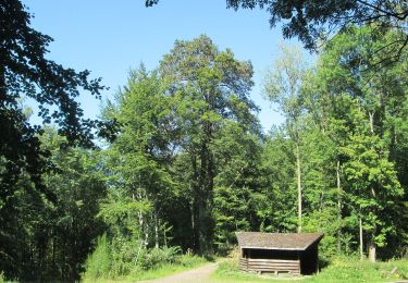 Tocht Te voet Saarbrücken - Ensheimer Brunnenweg - Photo