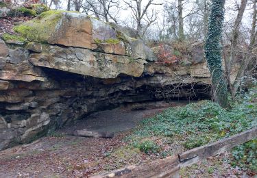 Trail Walking Fontainebleau - Circuit des Fontaines et la Croix du Calvaire - Photo