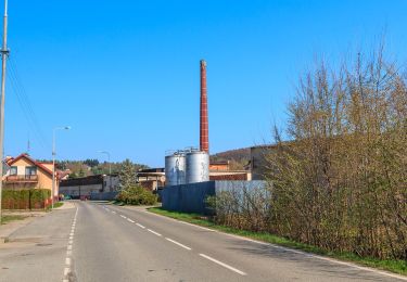 Percorso A piedi Lázně Bělohrad - [Z] Horní Javoří - Horní Nová Ves (most) - Photo