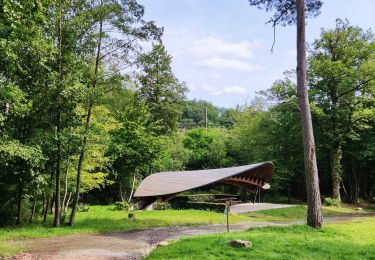 Excursión Senderismo Saint-Hubert - Balade du Marsoult - Photo