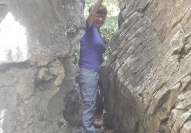 Tour Wandern Nolay - Nolay roche fendu 18/06/2020 - Photo