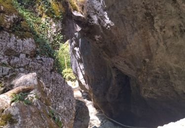 Randonnée Marche Bouvante - 26 gorges lyonne 23.08.23 - Photo