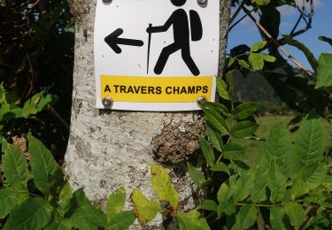 Excursión Marcha nórdica Pulvérières - À travers champs  - Photo