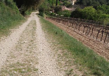 Excursión Senderismo Vitrolles-en-Luberon - vitrolles en Lubéron. piegros depuis le village  - Photo