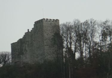 Tour Zu Fuß Habsburg - Schinznach Bad - Schloss Habsburg - Photo