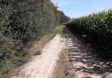 Percorso A piedi Fosses-la-Ville - Mon parcours - Photo