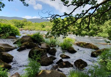 Randonnée Marche Kenmare Municipal District - Glencar - Glengeigh - Photo