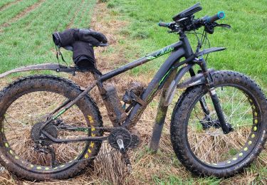 Trail Electric bike Saint-Clément - sortie vtt 18022024 baccarat  - Photo