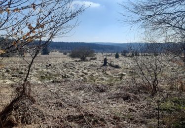 Tocht Stappen Bütgenbach - Butchebach - Photo