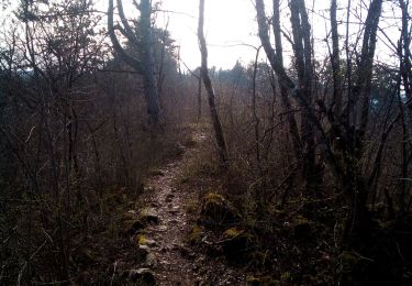 Excursión Senderismo Besançon - Besançon Morre - Photo