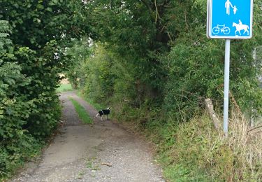 Trail Walking Eupen - Welky Kettenis Lontzen  - Photo