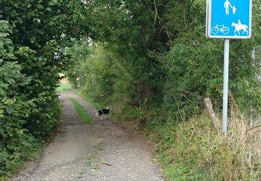 Tour Wandern Eupen - Welky Kettenis Lontzen  - Photo