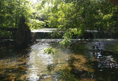 Excursión Senderismo Chauray - 2019--08-07 Marche 13 km - st gelais, queray - Photo