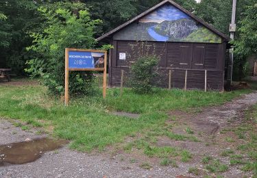 Trail Walking Dinant - freyr 1er aoÃ»t  - Photo
