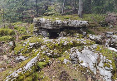 Percorso Marcia Foncine-le-Haut - Bois du Croz - Photo