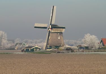 Excursión A pie Schagen - wandelroute Sint-Maarten - Valkkoog - Photo