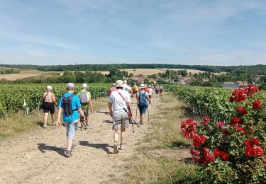Tour Wandern Bézu-le-Guéry - Bézu-le-Guéry du 12-07-2022 - Photo