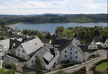 Excursión A pie Sundern - Langscheid-Mellen-Amecke - Photo