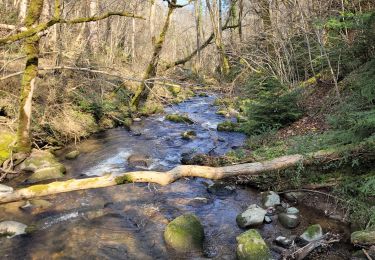 Tocht Stappen Olloix - Olloix_Gorges-La-Monne_T - Photo