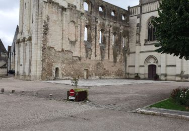 Tour Wandern Loches - Rumba à loches épisode 3 - Photo