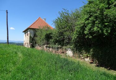 Tocht Te voet Hitzendorf - Schlösserweg - Photo