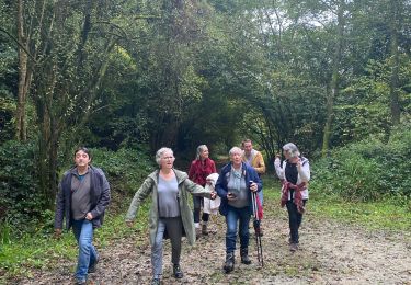 Trail Walking Maulévrier-Sainte-Gertrude - La Gertrude - Normandie - Photo