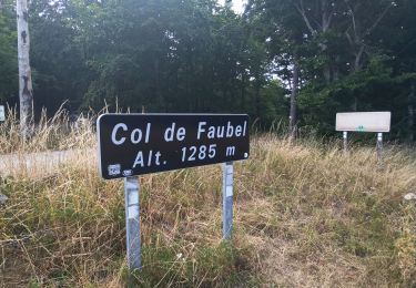 Tocht Stappen Saint-Sauveur-Camprieu - col de Faubel - Photo