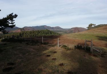 Trail Walking Aydat - Combegrasse  Fontclairant Ventouse - Photo