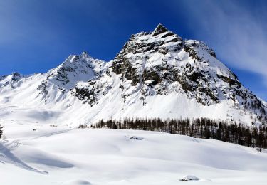 Percorso A piedi Valsavarenche - IT-8C - Photo