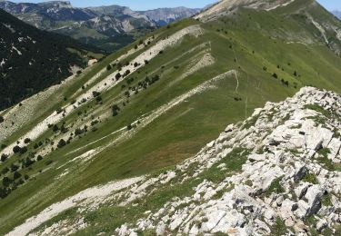 Tour Wandern Châtillon-en-Diois - Mont Barral - Photo